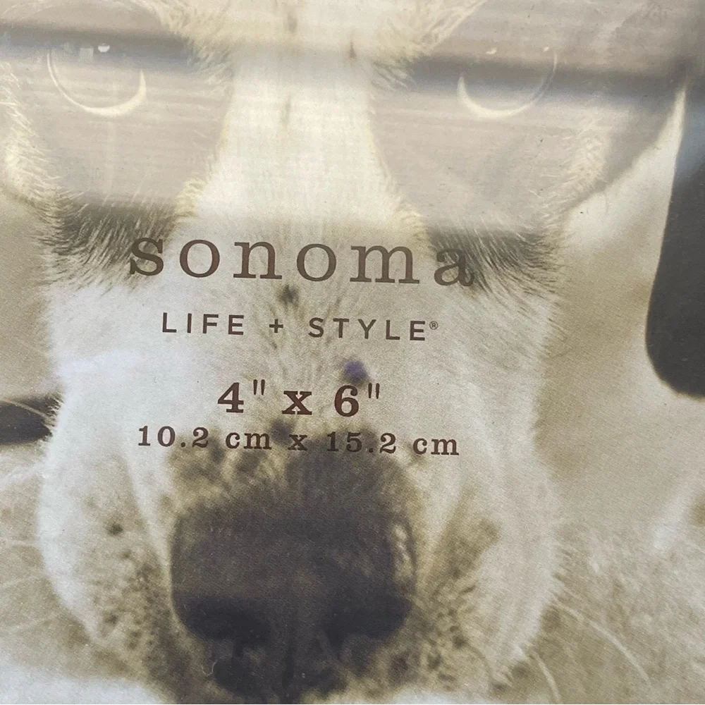 Sonoma 4x6 Dog Photo Frame - NWT
